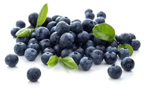 Bilberry Extract ingredient